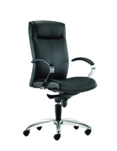 ZY 361L-12S50 Office Chair